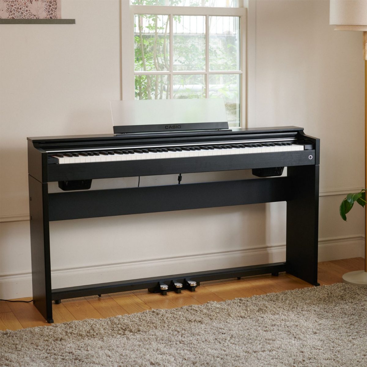 AP-S200BK #2