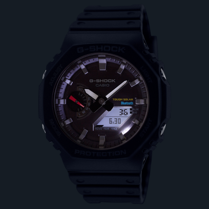 GA-B2100-1A #10